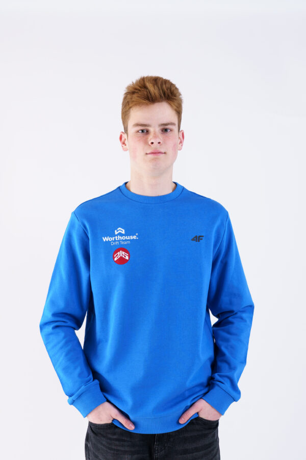 Pullover sweatshirt - blue