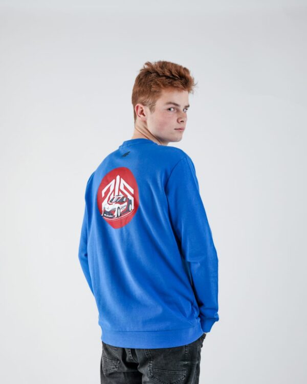 Pullover sweatshirt - blue